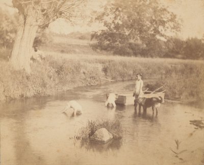 [Tre barn og en hund som leker i bekken, 4. juli 1883], 1883., 1883. av Thomas Eakins