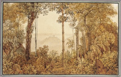 Utsikt over Rio de Janeiro fra Tijuca-skogen av Thomas Ender