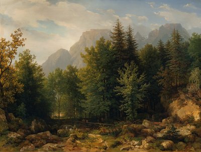 Skoglandskap i høyfjellet av Thomas Ender