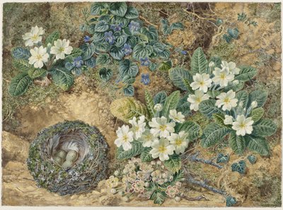 Stilleben av et fuglerede, fioler, primulaer og epleblomster av Thomas Frederick Collier
