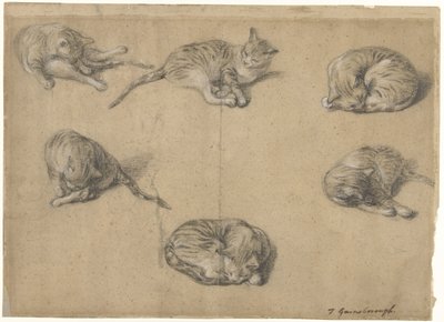 Seks studier av en katt av Thomas Gainsborough