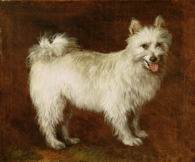 Spitz Dog, ca. 1760-70 (olje på lerret) av Thomas Gainsborough