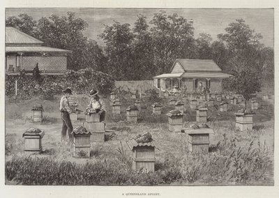 En bigård i Queensland av Thomas Harrington Wilson