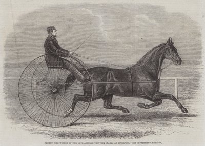Jackey, vinneren av avdøde Aintree Trotting Stakes i Liverpool av Thomas Harrington Wilson