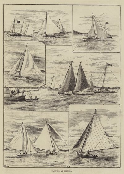 Yachting på Bermuda av Thomas Harrington Wilson