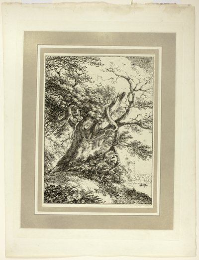 Old Tree, fra den første utgaven av Specimens of Polyautography av Thomas Hearne