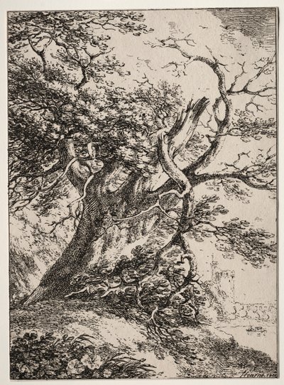 Prøver av polyautografi: Landskap med et eik, 1803. av Thomas Hearne