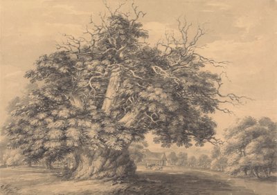 Kastanjetreet ved Little Wymondley, Hertfordshire av Thomas Hearne
