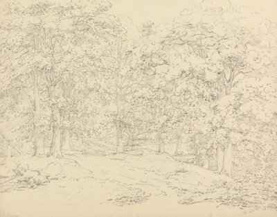 Trær i Ashtead Park, Surrey av Thomas Hearne