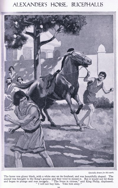  av Thomas Heath Robinson
