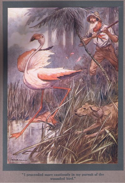  av Thomas Heath Robinson