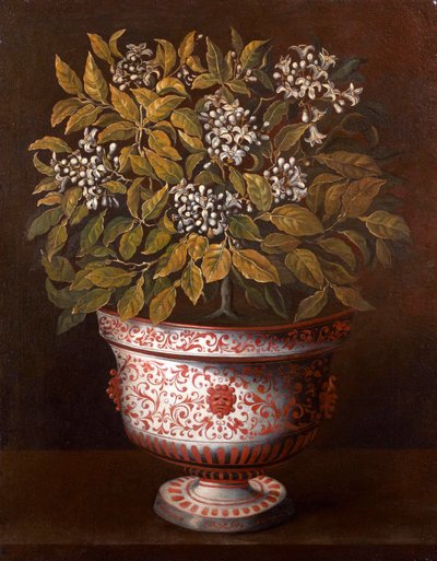 Terrakottavase med en oransje busk i blomst av Thomas Hiepes