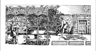Arbor bygges som en skygge mot solen, fra 