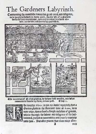 Arbor bygget som en skygge mot solen og planting i høybed, fra The Gardeners Labyrinth, 1577 av Thomas Hill
