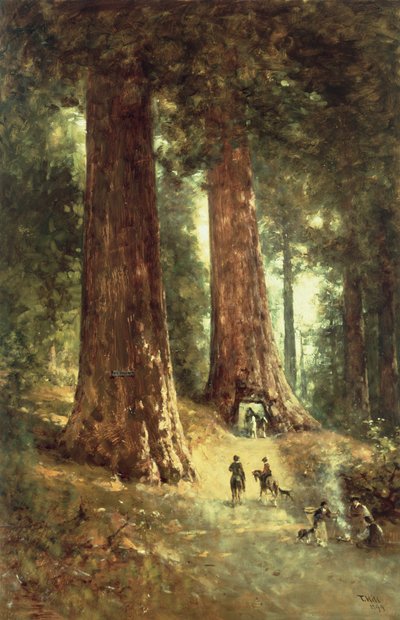 I Redwoods, 1899 av Thomas Hill