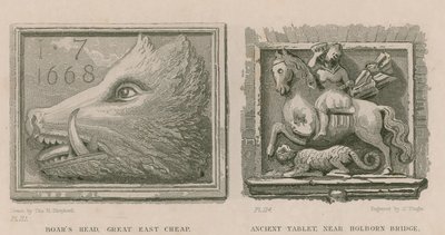 Villsvinehode og gammelt nettbrett av Thomas Hosmer Shepherd