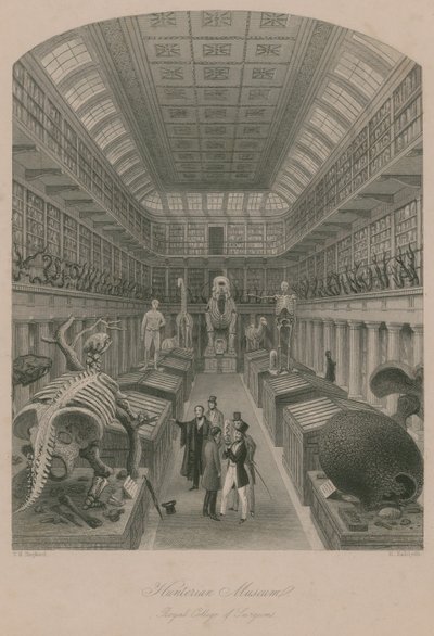 Hunterian Museum, Royal College of Surgeons, London av Thomas Hosmer Shepherd