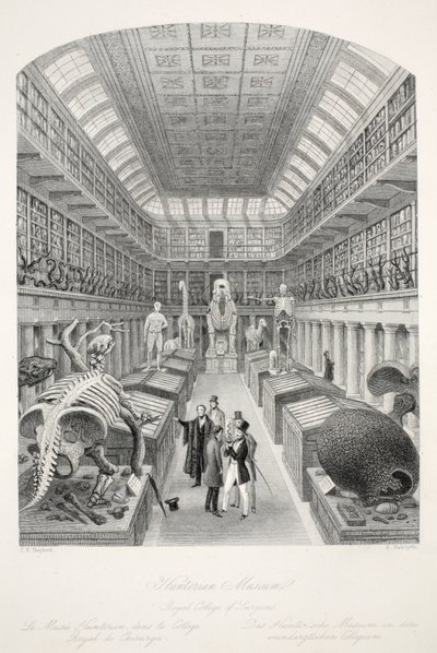 Hunterian Museum, Royal College of Surgeons, fra puben 