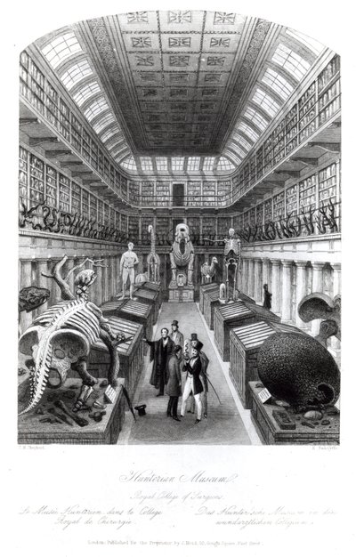 The Hunterian Museum, illustrasjon til 
