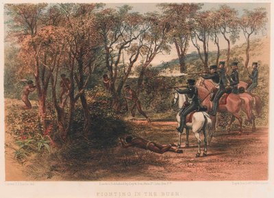 Fighting in the Bush, 8th Cape Frontier War av Thomas J. Lucas