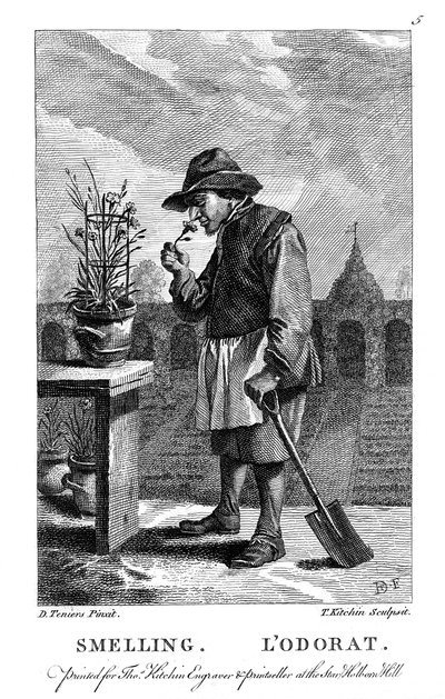 Gartner som lukter en nellik eller rosa Dianthus, c1750 av Thomas Kitchin