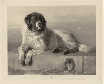 Portrett av redningshunden Bob, liggende på en brygge Et fremtredende medlem av Humane Society (tittel på objekt) av Thomas Landseer