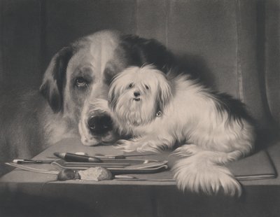 Løvehunden fra Malta - Den siste av hans stamme, 1844. av Thomas Landseer