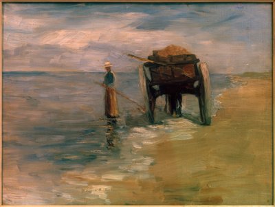 Sjøgressfisker av Thomas Ludwig Herbst