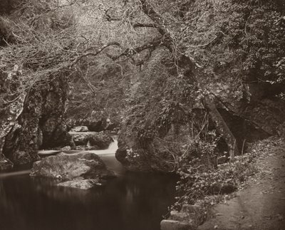 The Dargle Hole, ca. 1865. av Thomas Marcus Brownrigg