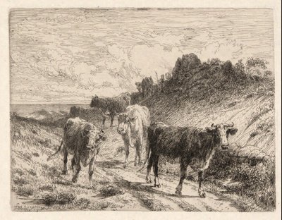 Kyr av Thomas Moran