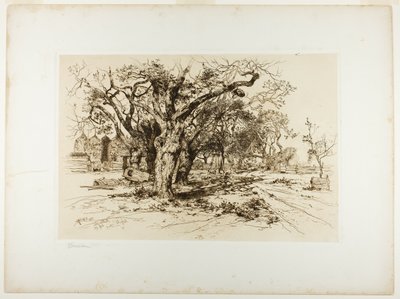  av Thomas Moran