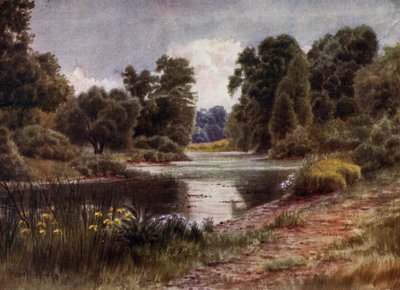 Kew Gardens: The Lake, Looking South (farge litho) av Thomas Mower Martin