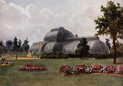 Kew Gardens: The Palm House (farge litho) av Thomas Mower Martin