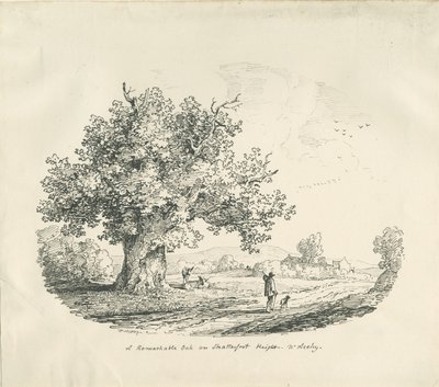 Arley - Shatterfort Height: litografi, 1839 av Thomas Peploe Wood