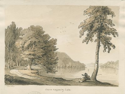Biddulph Moor - The Bride-Stones: gravering av Thomas Peploe Wood