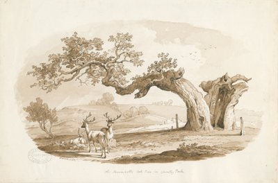 Chartley Hall - Park: sepia-tegning (vignettert) av Thomas Peploe Wood