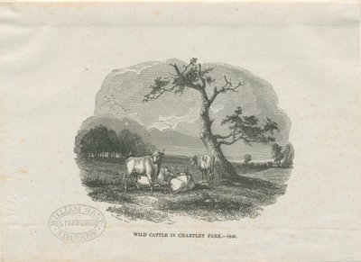 Chartley Hall - Park: tresnittsgravering av Thomas Peploe Wood