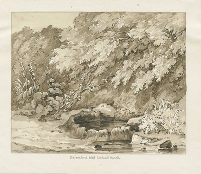 Codsall Wood - Brimstone Well: sepia tegning av Thomas Peploe Wood