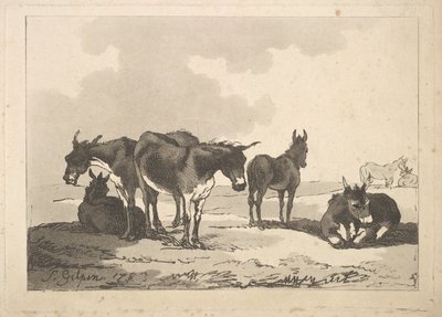 En gruppe på fem esler, tre stående, to liggende, 1783-87. av Thomas Rowlandson