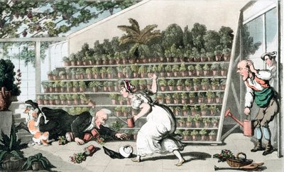 Ulykke i Tulipanhallen, c1816 av Thomas Rowlandson