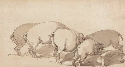 Pigs at a Trough, ca. 1790 (grafitt med penn og blekk og brun vask på papir) av Thomas Rowlandson