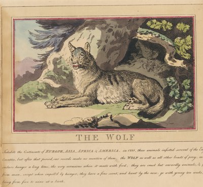 Sett med åtte bilder med tittelside. «Utenlandske og innenlandske dyr.»  5. Ulven av Thomas Rowlandson