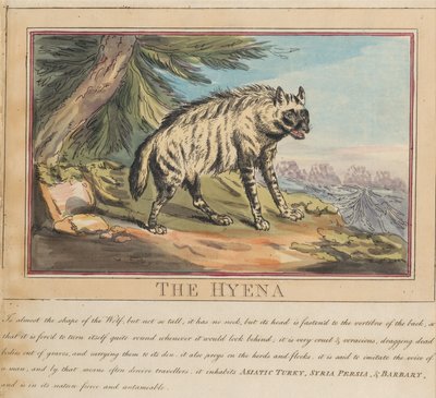 Sett med åtte bilder med tittelside. «Utenlandske og innenlandske dyr.»  6. Hyenen av Thomas Rowlandson