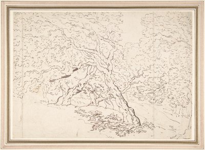 Studie av trær av Thomas Rowlandson