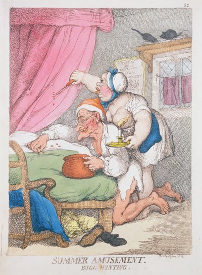 Sommerfornøyelse. insektjakt av Thomas Rowlandson