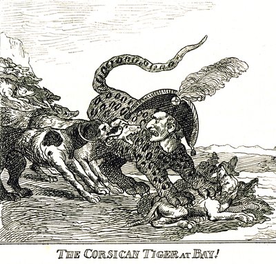The Barked Corsican Tiger (Napoleon Bonaparte), karikatur 1808 av Thomas Rowlandson