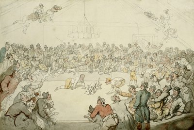 Westminster Pitt, 1798 av Thomas Rowlandson