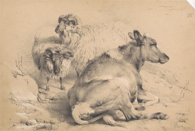 En ku og to værer av Thomas Sidney Cooper