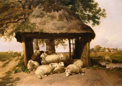 Sauer som hviler under et ly av Thomas Sidney Cooper