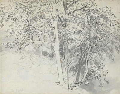 Studie av trær av Thomas Stothard
